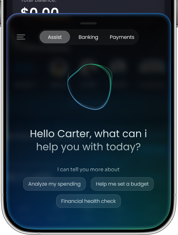 Roxxy spending insights on iPhone